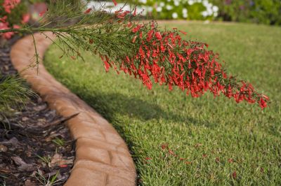 Improve Curb Appeal
