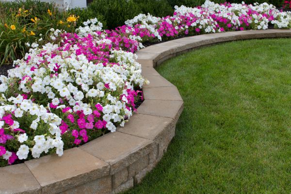Protect Your Garden