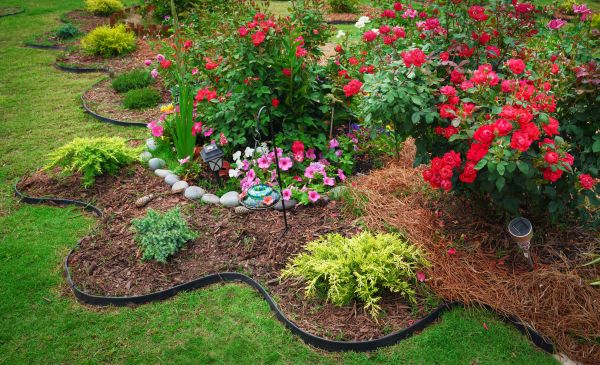 Upgrade Your Landscaping