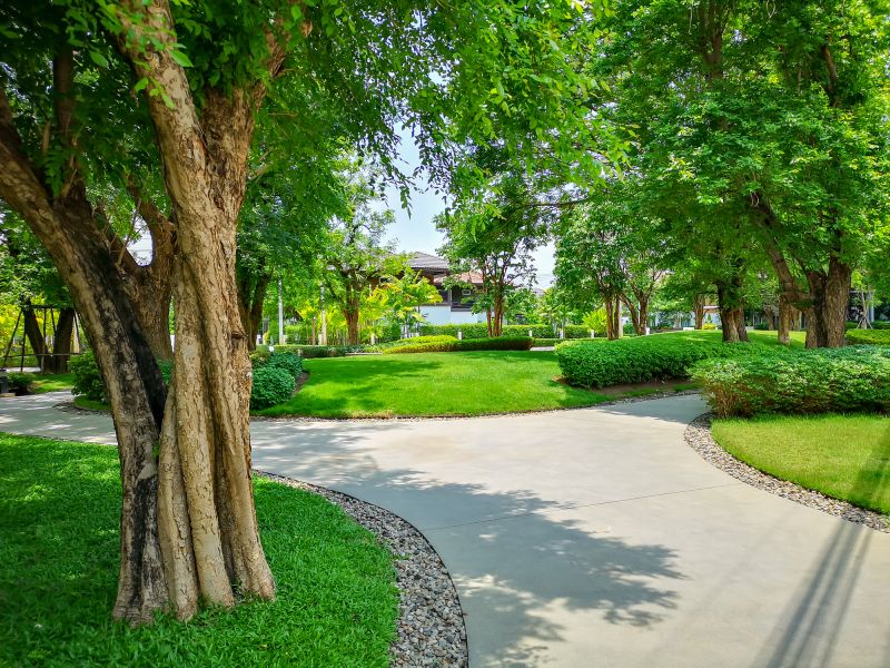Garden Edging