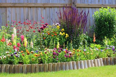 Hire a Professional Team To Work With You To Create a Plan, To Prep Your Yard, and To Install Your Garden Edging